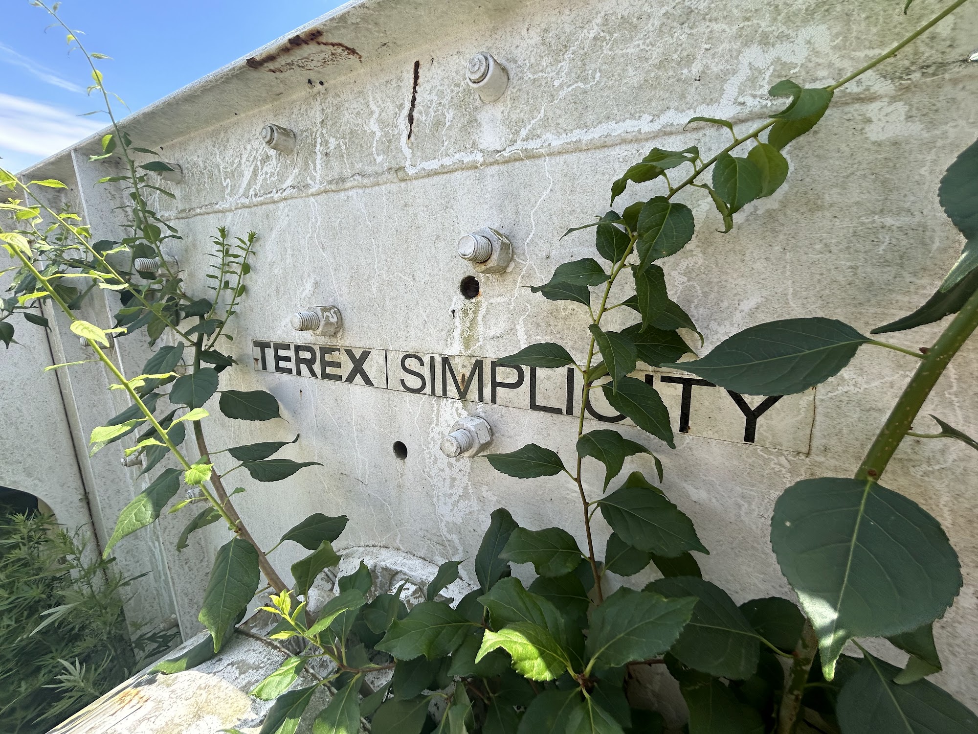 Simplicity — photo 11