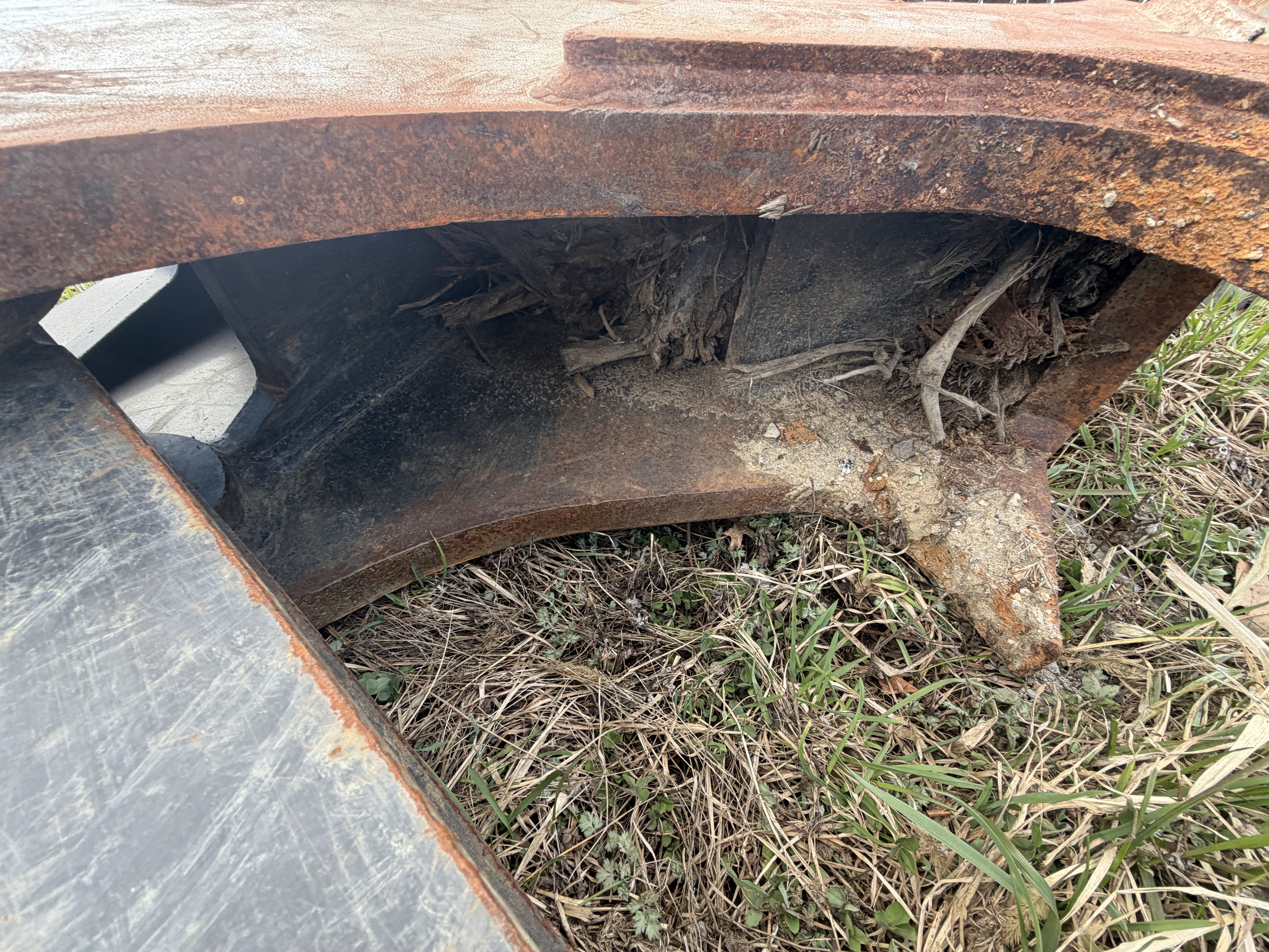 Quest Stump Shear — Providence, RI — photo 7
