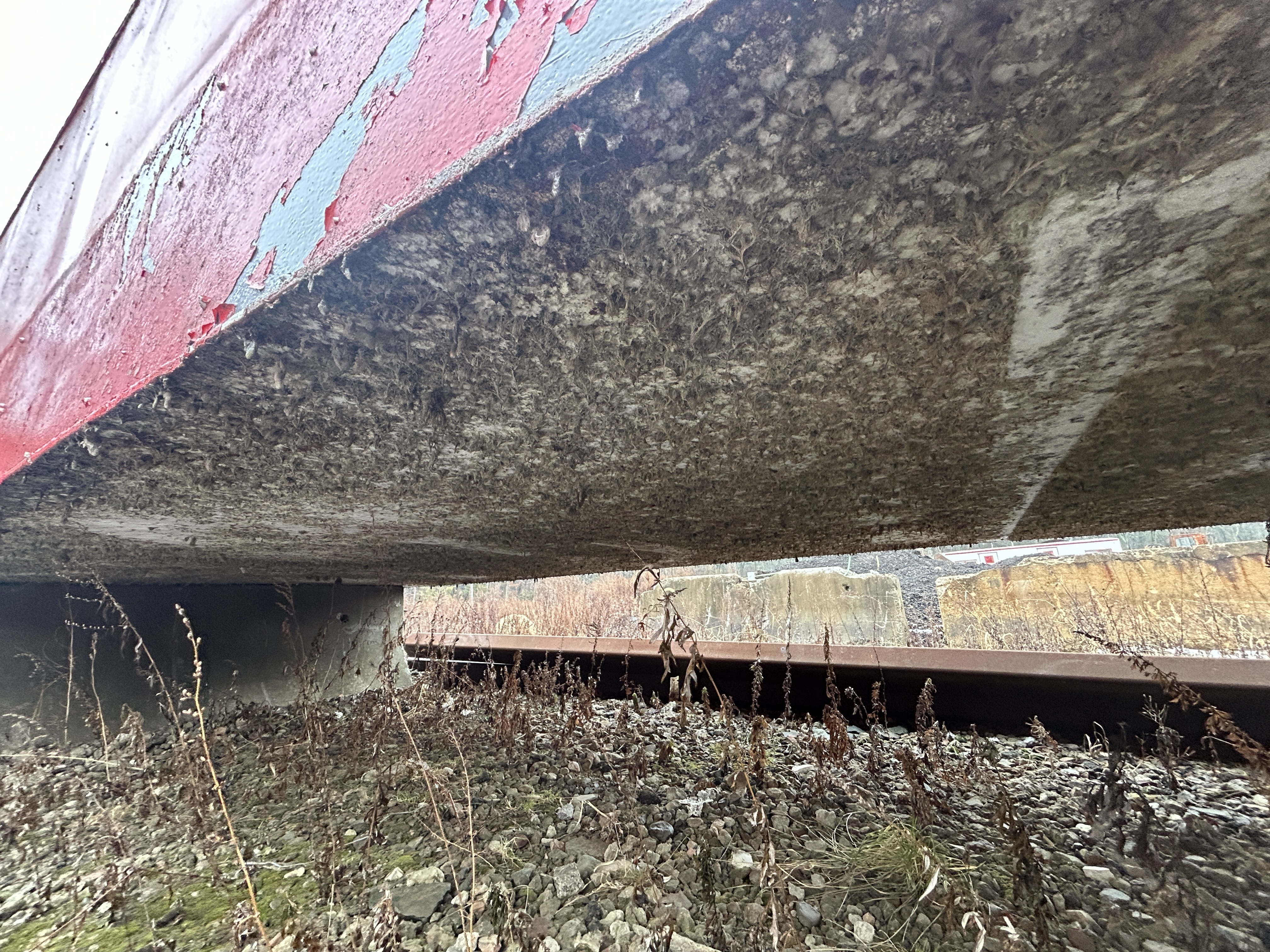 Barges — photo 6