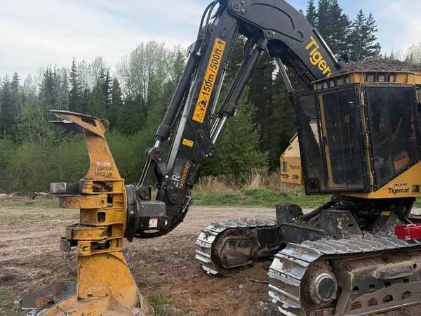 2024 Tigercat LX830E Track Feller Buncher — Tigercat LX830E — Granite Falls, NC